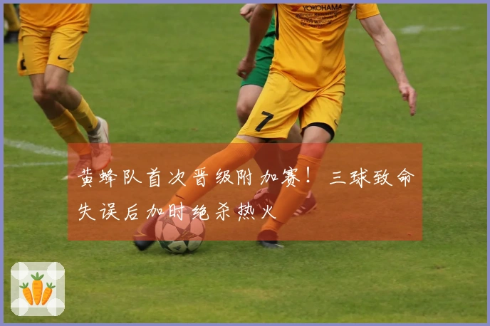 黄蜂队首次晋级附加赛！三球致命失误后加时绝杀热火