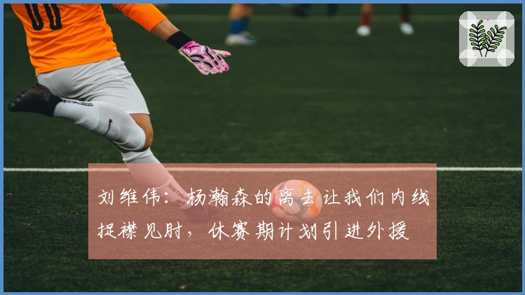 刘维伟：杨瀚森的离去让我们内线捉襟见肘，休赛期计划引进外援