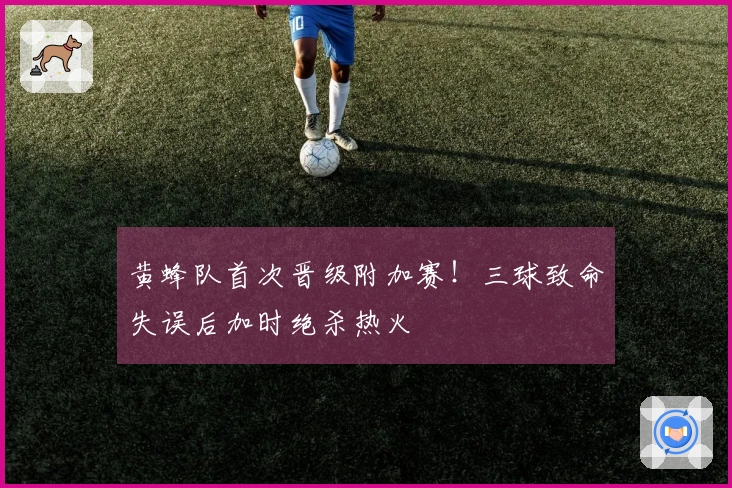 黄蜂队首次晋级附加赛！三球致命失误后加时绝杀热火